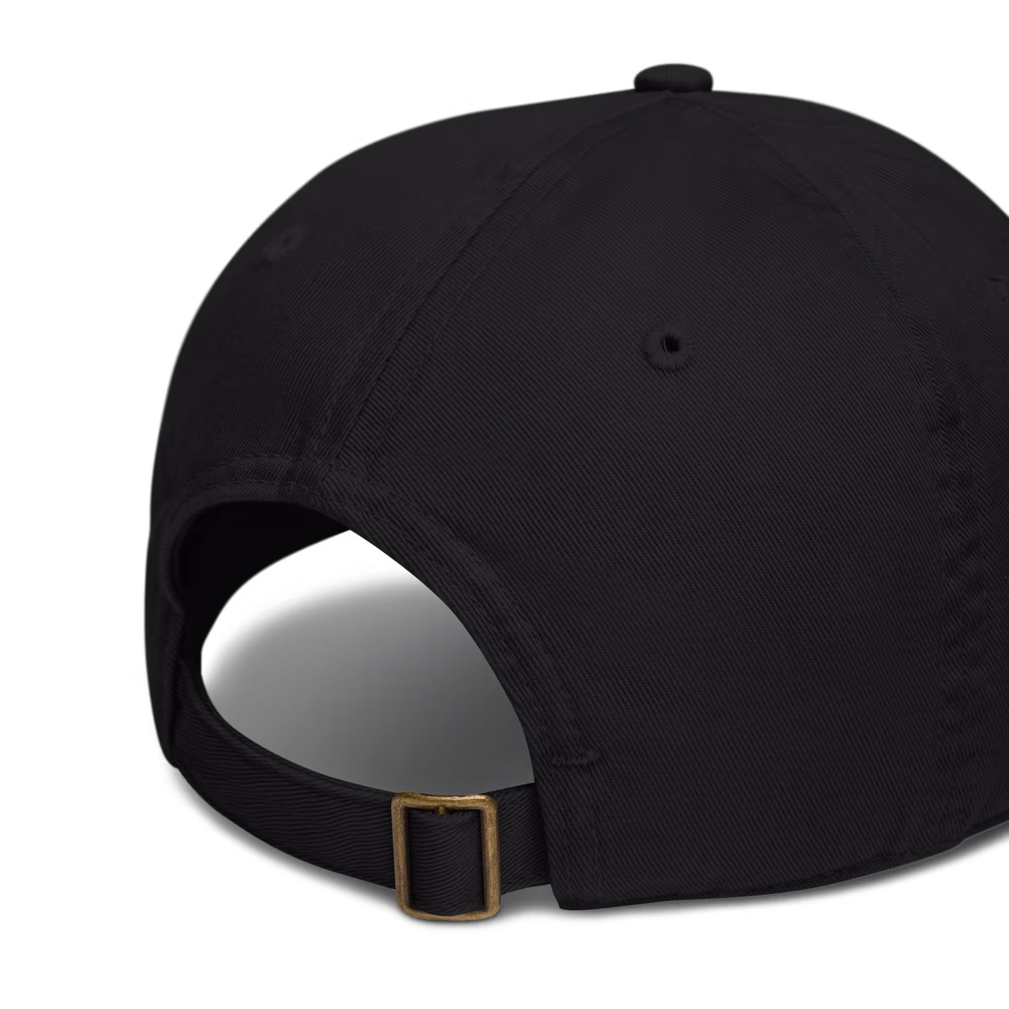 Organic dad hat